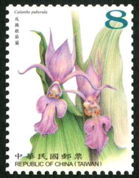 高清台湾野生兰花（续）邮票设计图稿