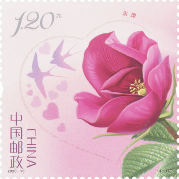 高清玫瑰邮票设计图稿