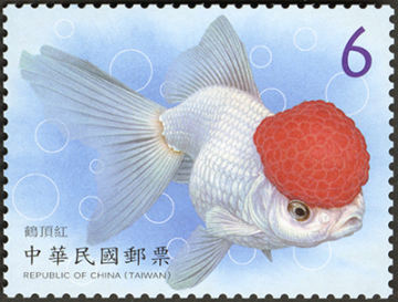 查看高清观赏水族生物——金鱼（第 2 辑）邮票图稿
