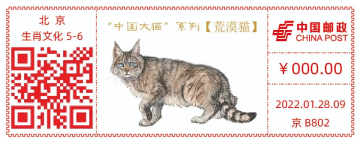 查看高清“中国大猫”系列——荒漠猫邮戳图片