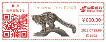 查看高清“中国大猫”系列——云猫邮戳图片