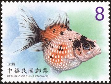 查看高清观赏水族生物——金鱼（第 3 辑）邮票图稿