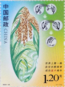 查看高清世界上第一株杂交水稻培育成功五十周年邮票图稿