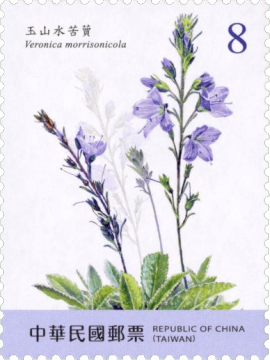 高清高山植物（第 2 辑）邮票设计图稿