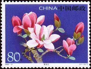 高清玉兰花邮票图稿