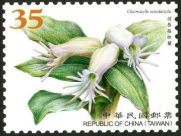 高清台湾野生兰花邮票设计图稿